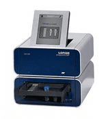 Cell Transfection at BioTether Sciences